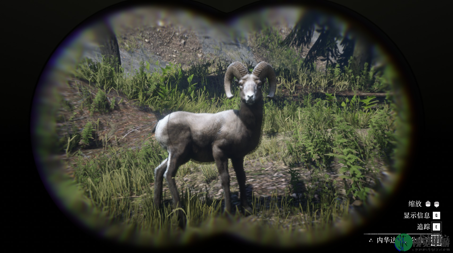《荒野大镖客2》动物内华达山脉公盘羊在哪里找：可以更好地沉浸在游戏世界中